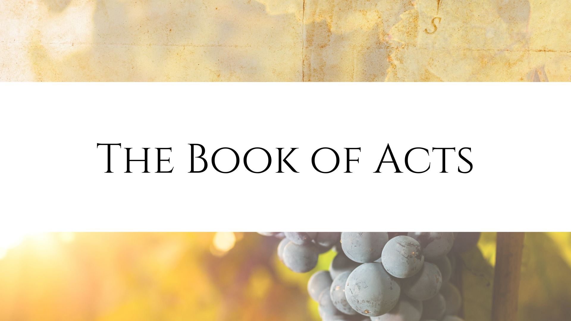 The Book of Acts - Lesson 5