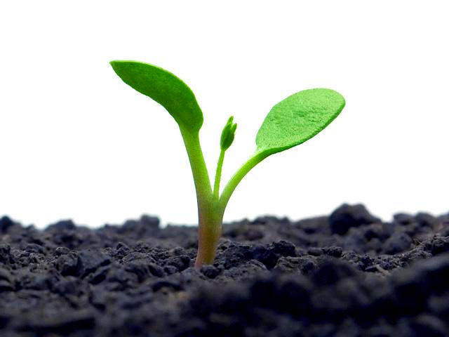 GROW
