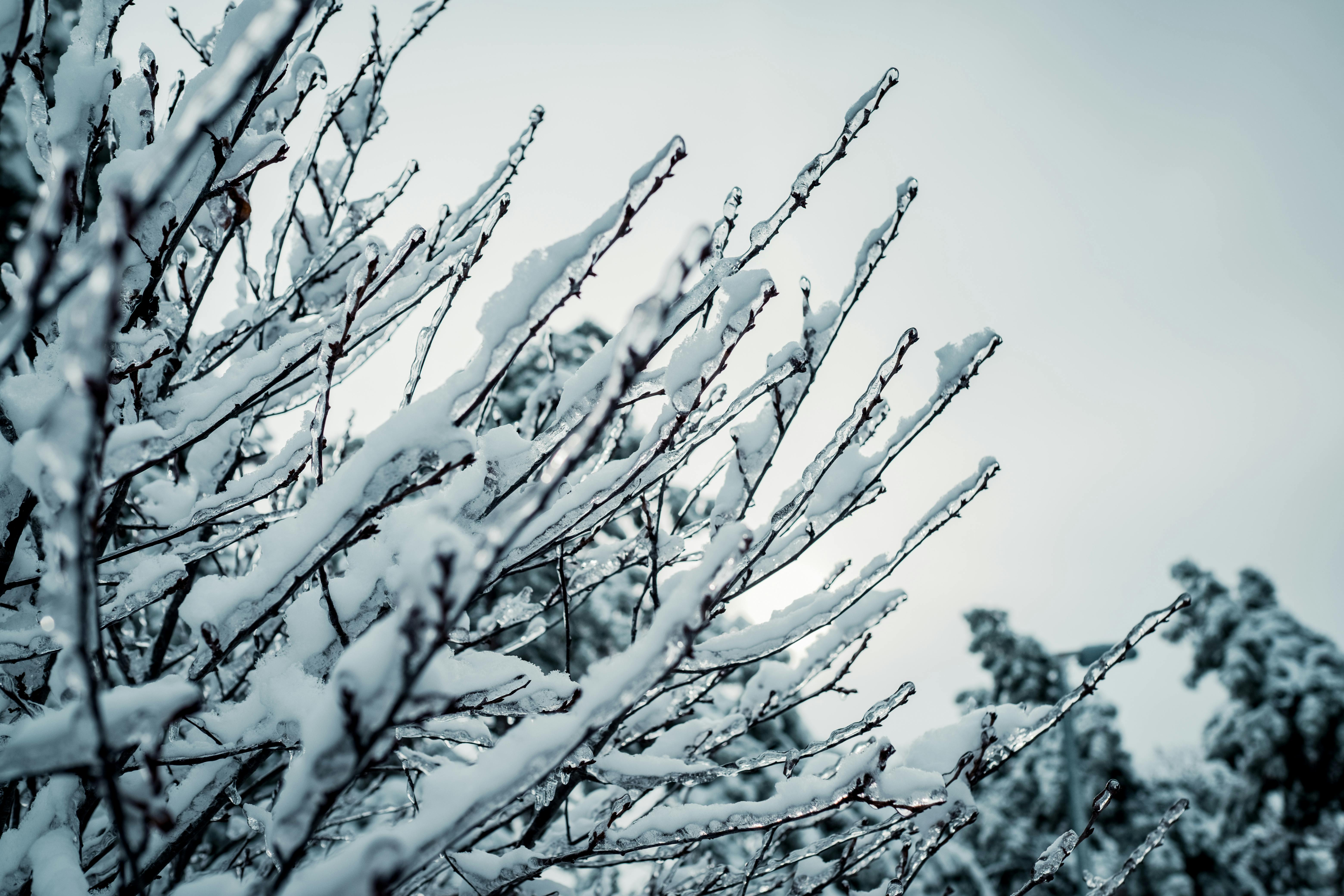 First United Methodist Church