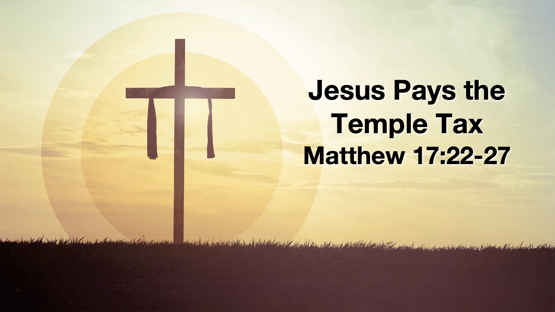 Jesus Pays the Temple Tax
