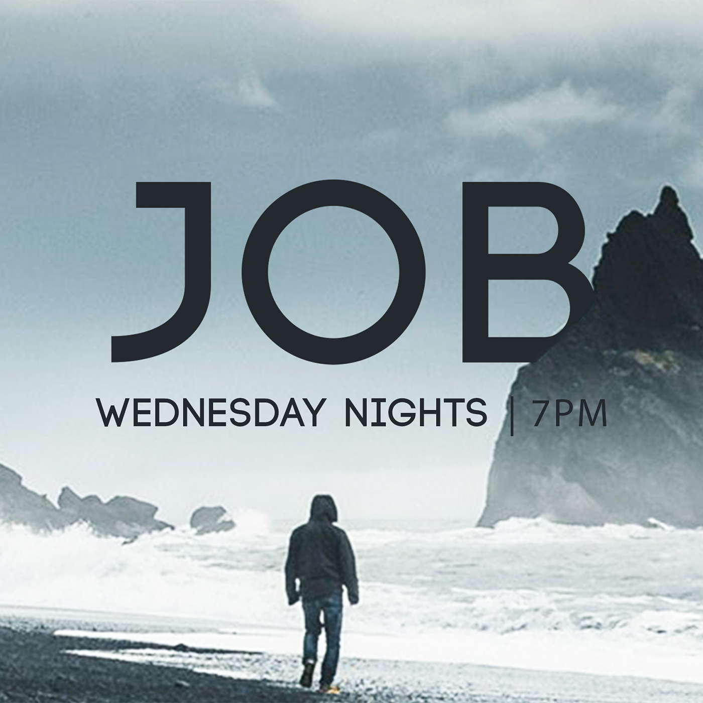 The Last Of Job s Friends