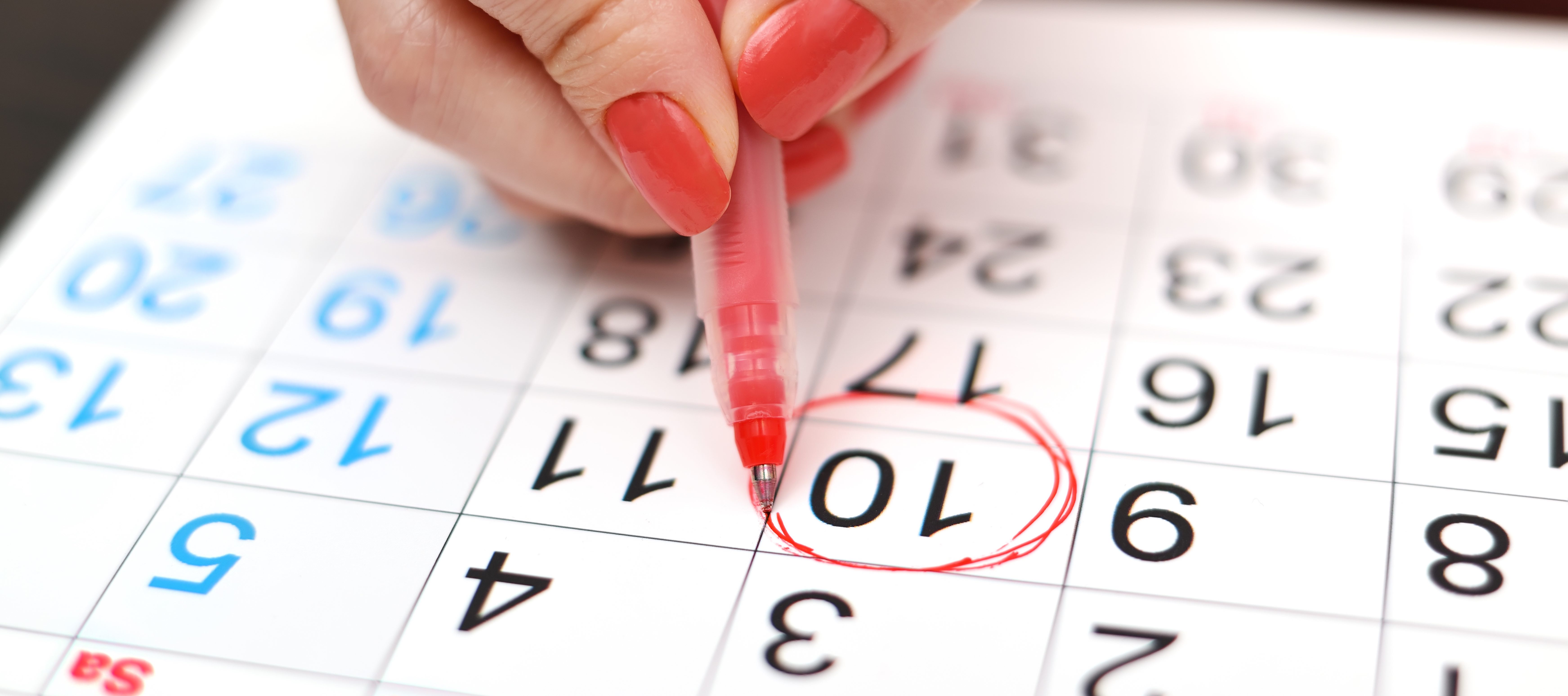 Calendar New LIfe Church