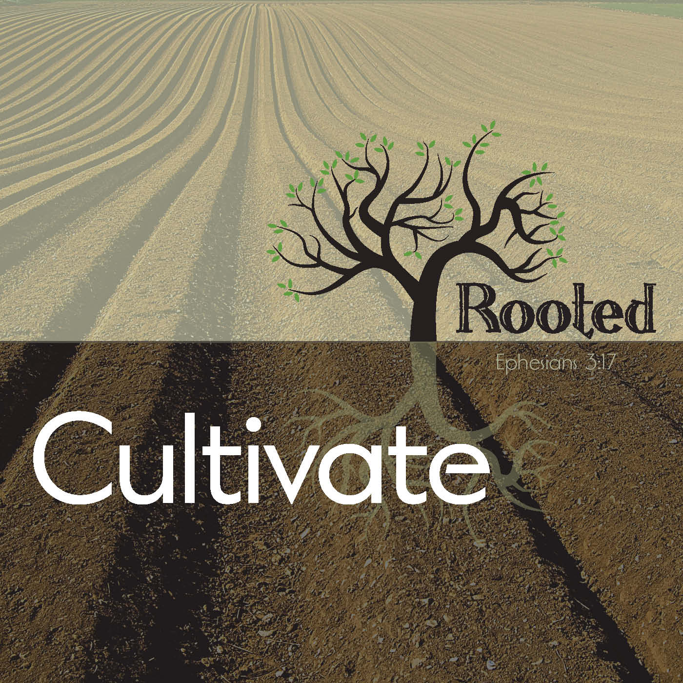 Cultivate
