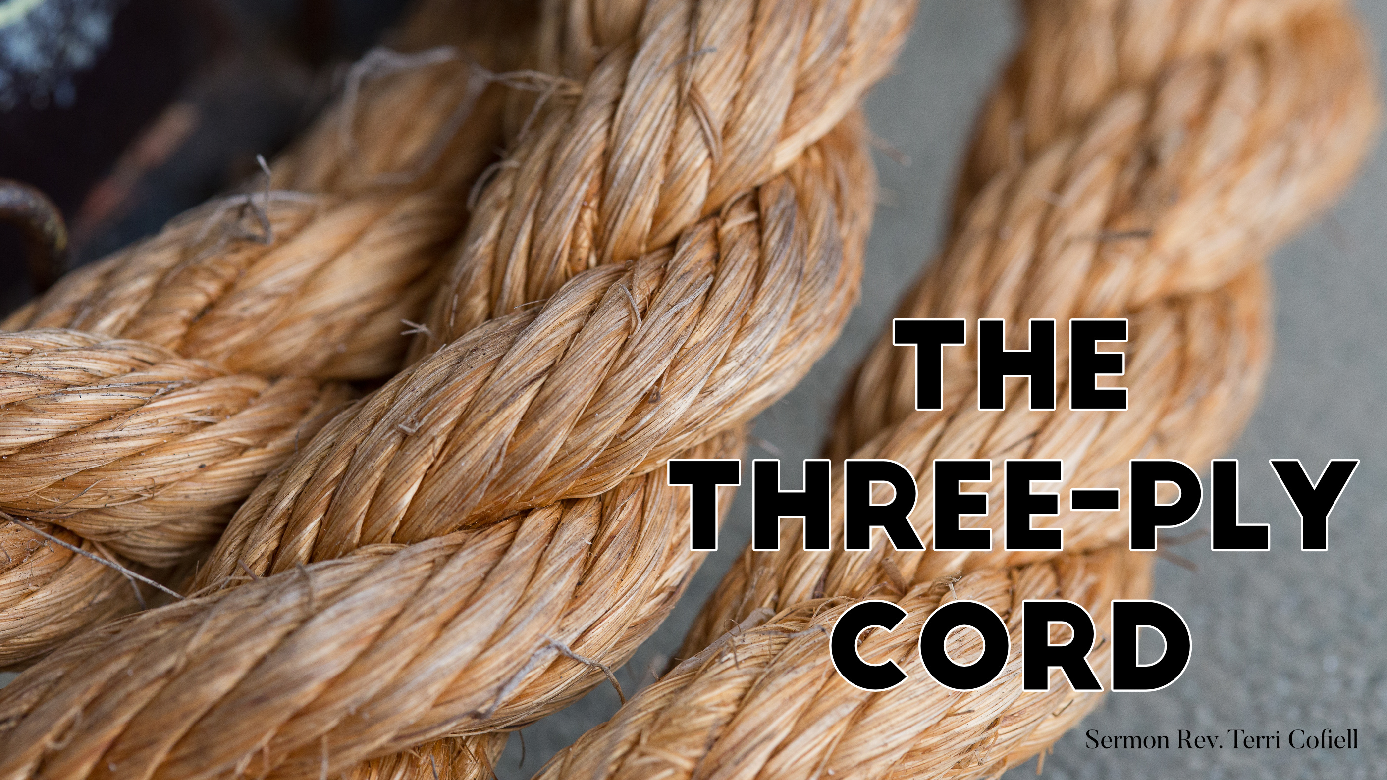 Three Corded Rope The Three-Ply Cord