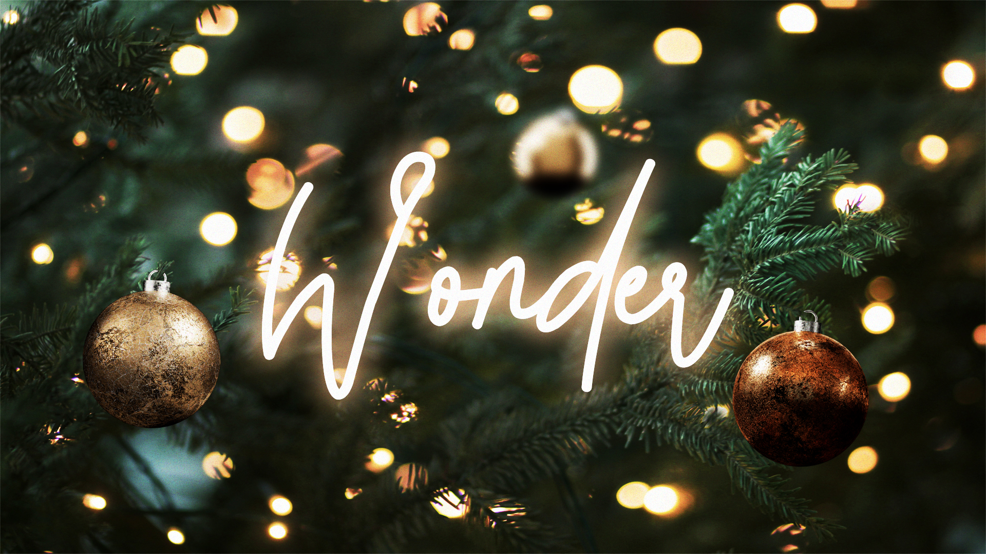 Wonder: The Wonder of Life