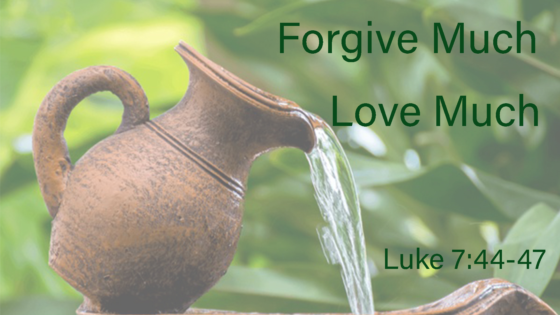 Forgiven Much Love Much