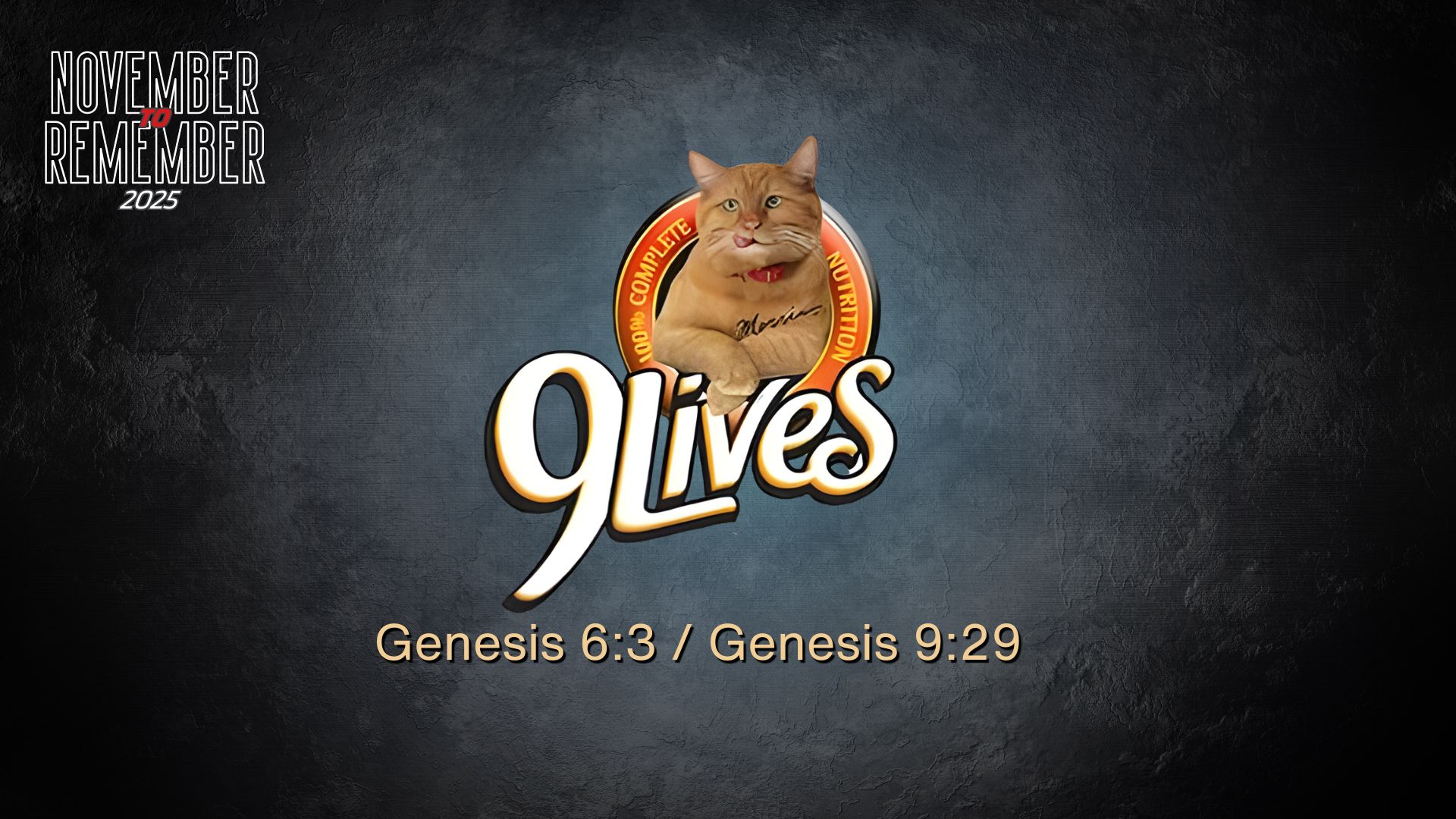 9 Lives