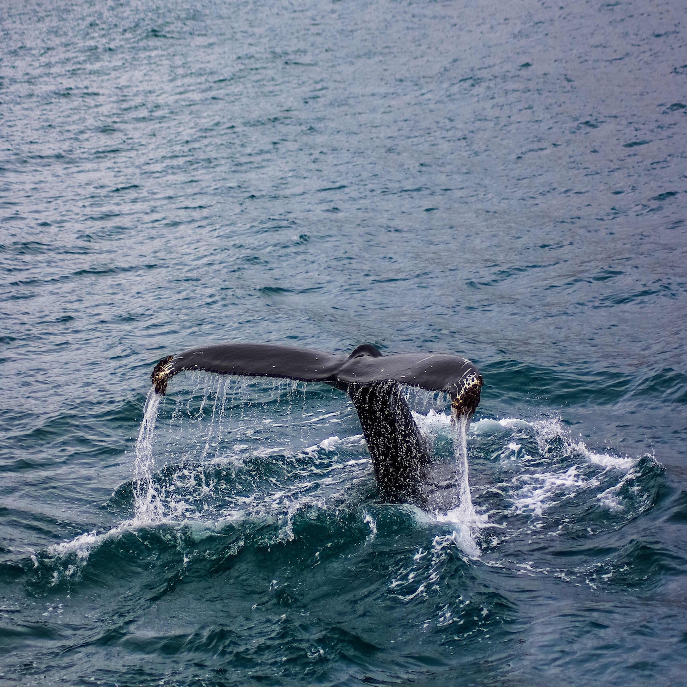 You Can Run But You Can't Hide From God - Jonah 1:1-16