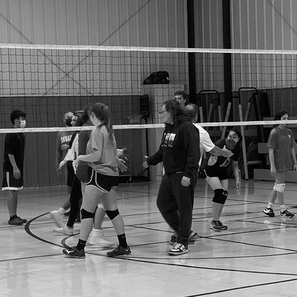 Adult CoEd Pickup Volleyball