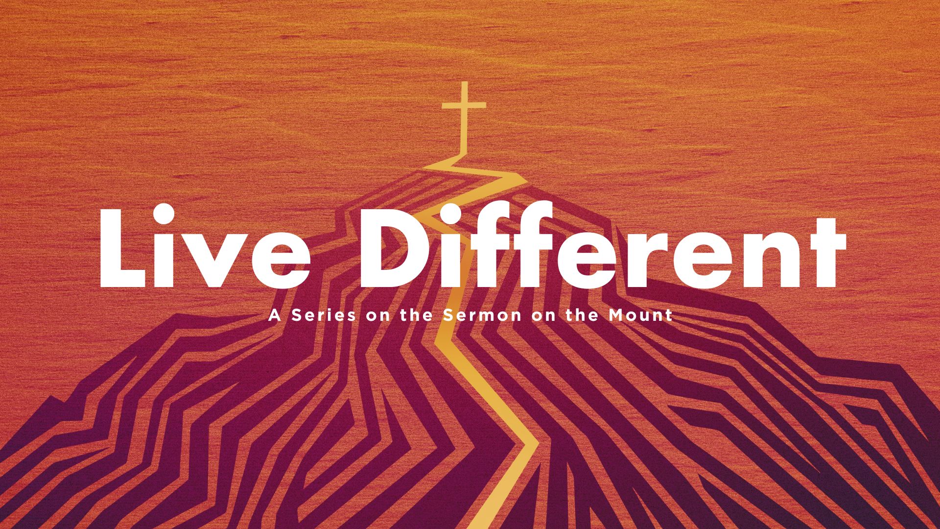 live-different-salt-and-light