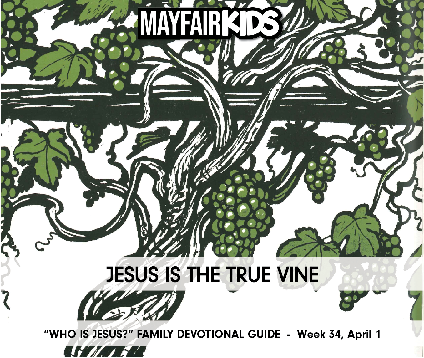 Jesus Is The True Vine